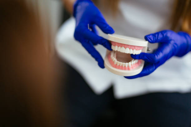 Best Preventive Dentistry  in Erda, UT